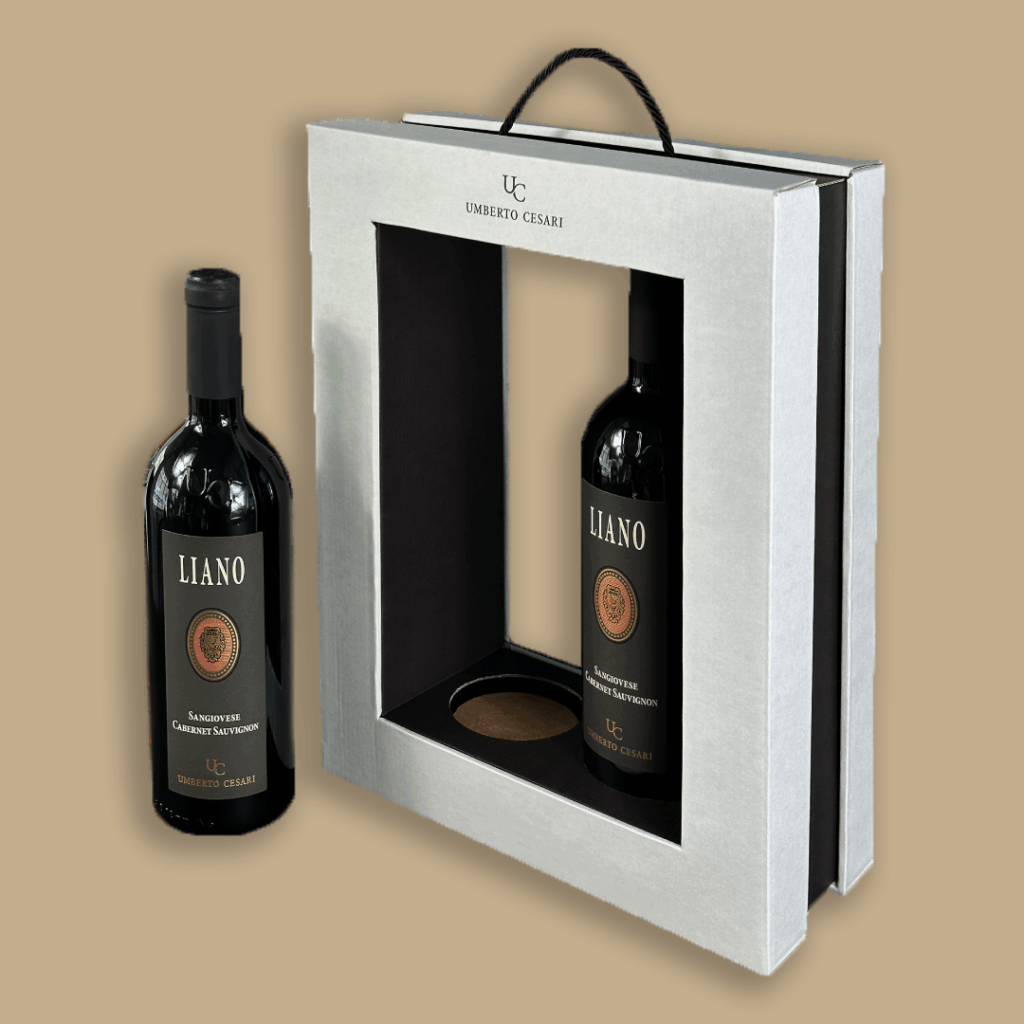 Gift box for two wine bottles with a rope handle